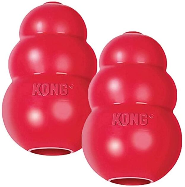 KONG, medium, pack of 2